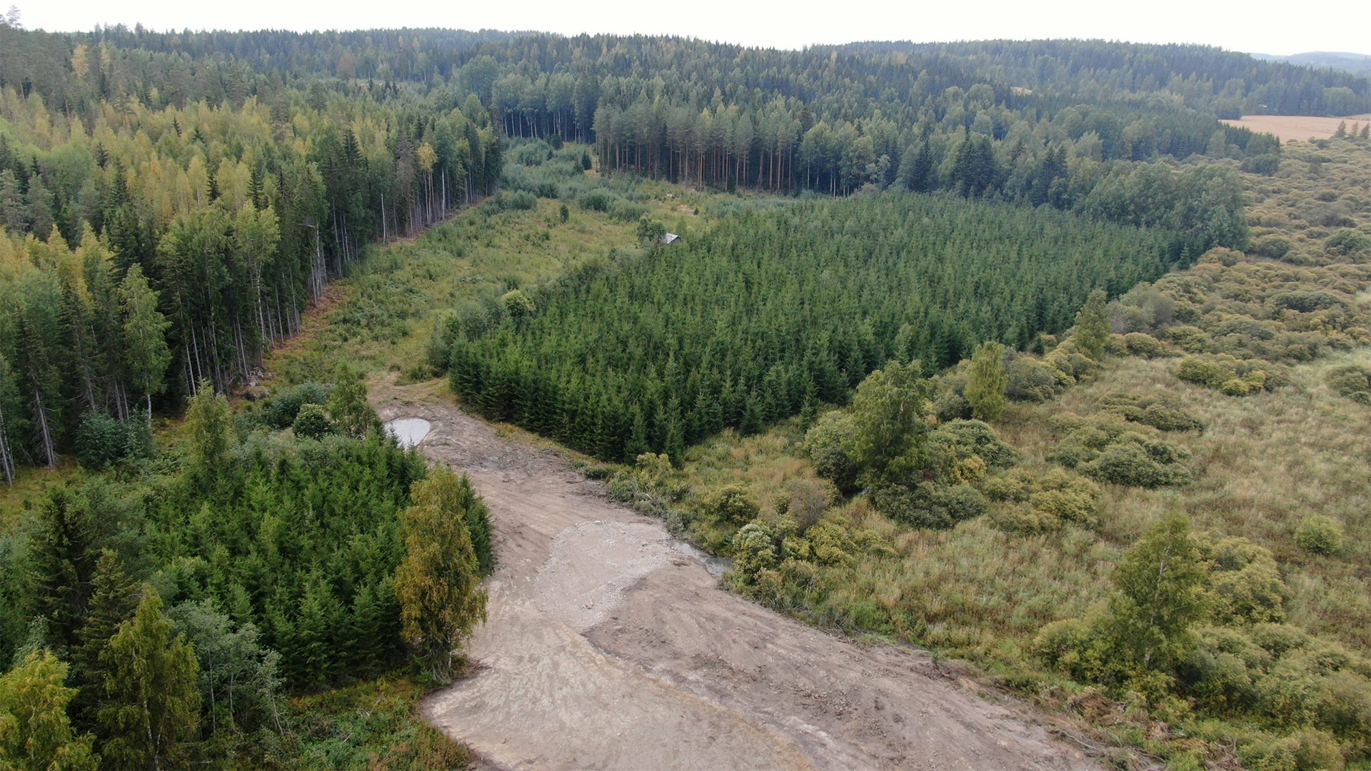 Metsäinen maisema, jossa näkyy penger.