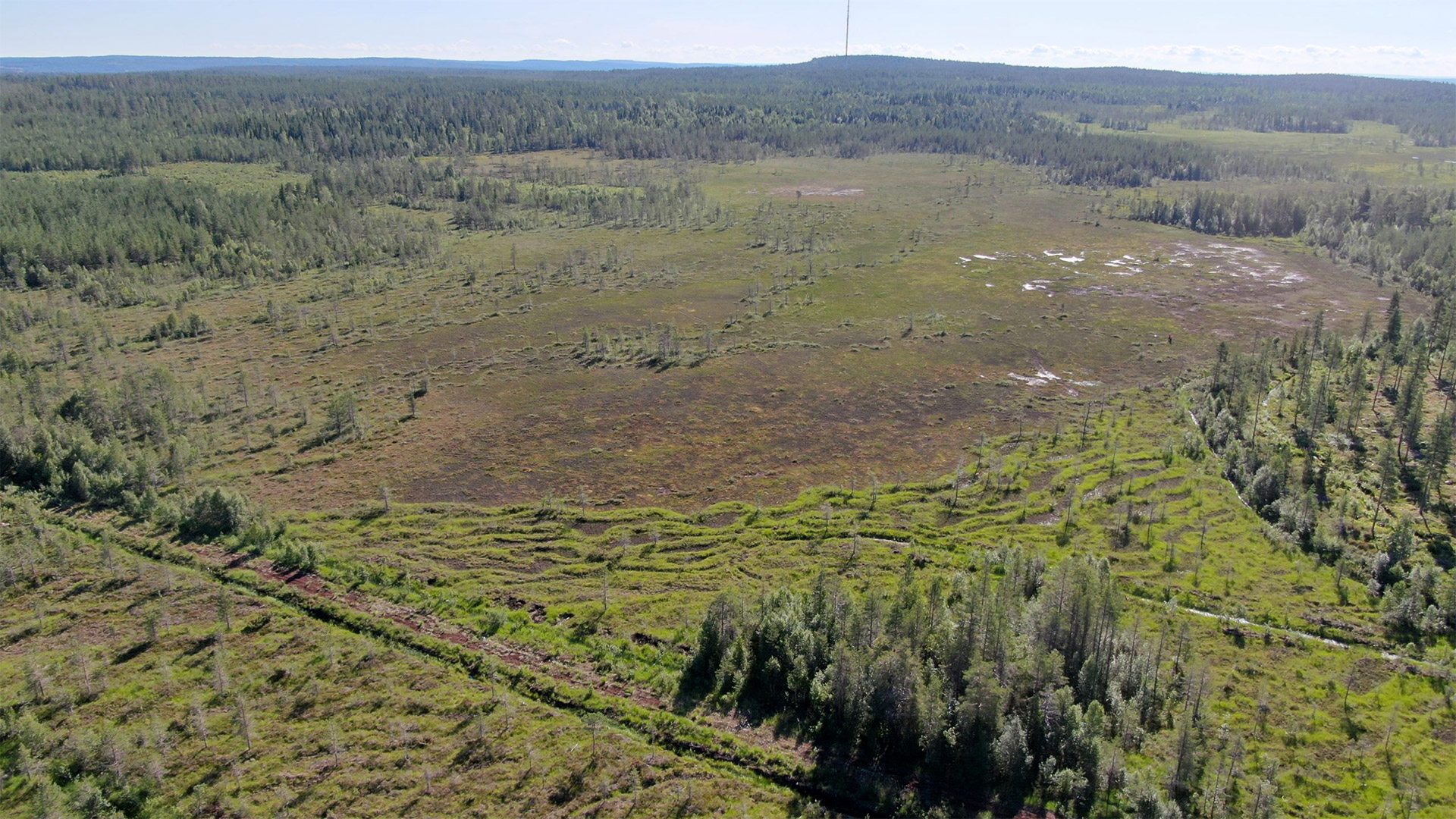 Photo of a swamp scenery taken with a drone.