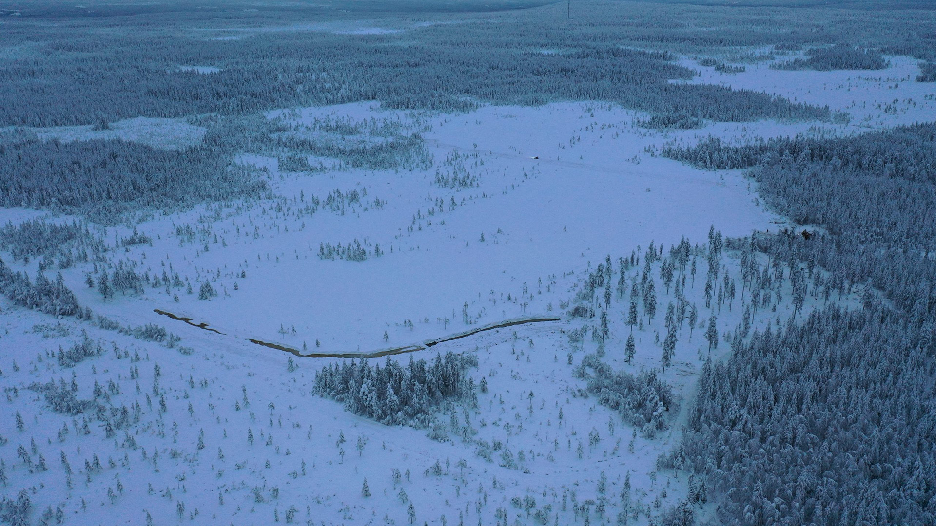 Wintery scenery with lots of snow and forest. Photo taken with a drone.