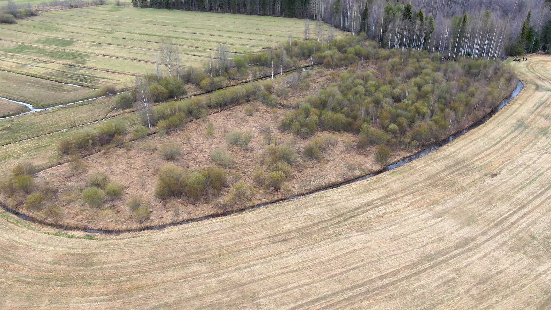 En flygbild av ett skogklätt område som omringas av diken och åkrar.
