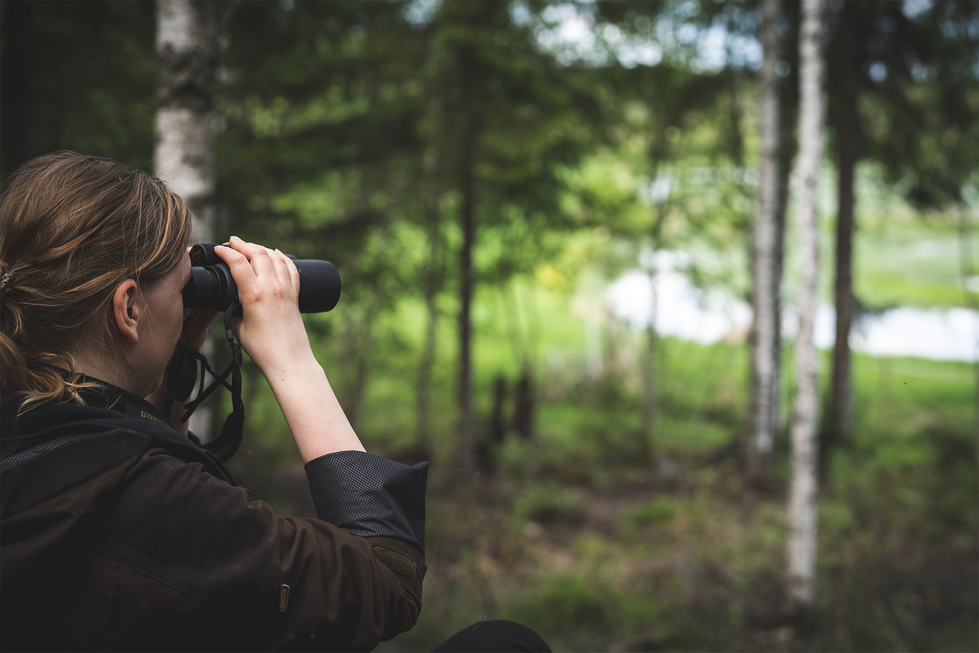En kvinna i ett skogsbryn spanar med kikare mot en våtmark.