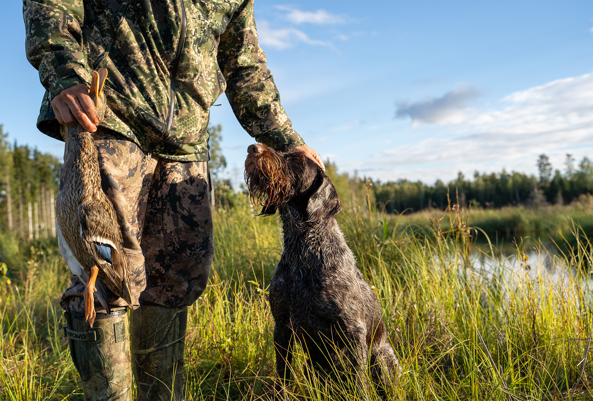 En jägare i kanten av en våtmark klappar sin hund på huvudet och håller upp en fälld gräsand.