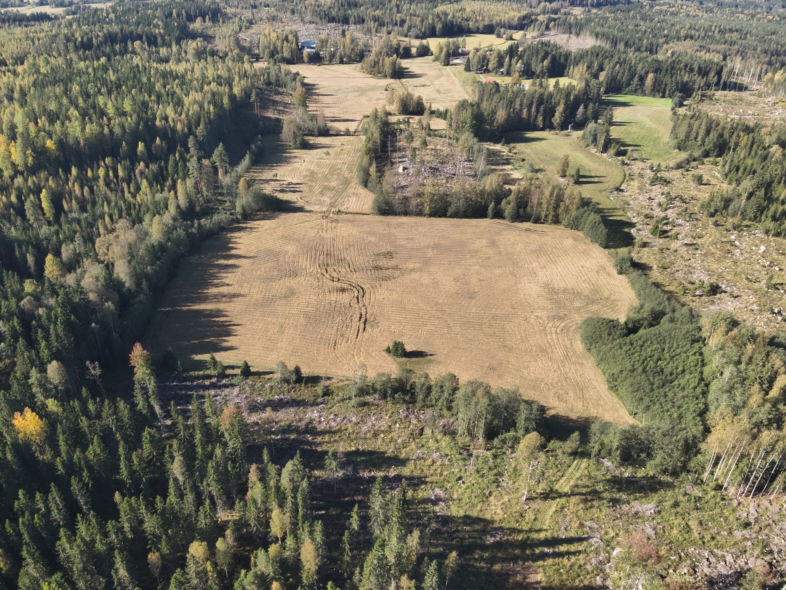 Ilmakuva pellosta. 
