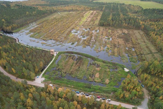 Ilmakuva kosteikosta.