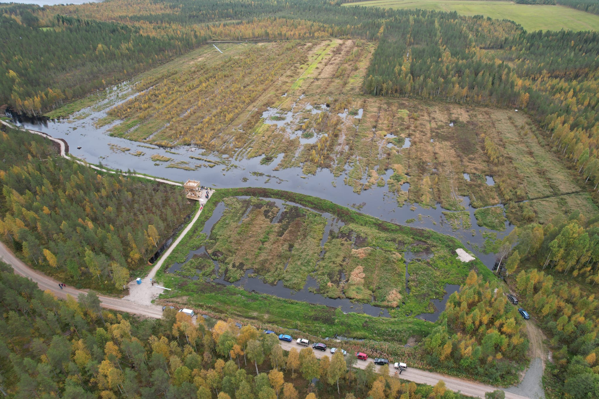 Ilmakuva kosteikosta. 