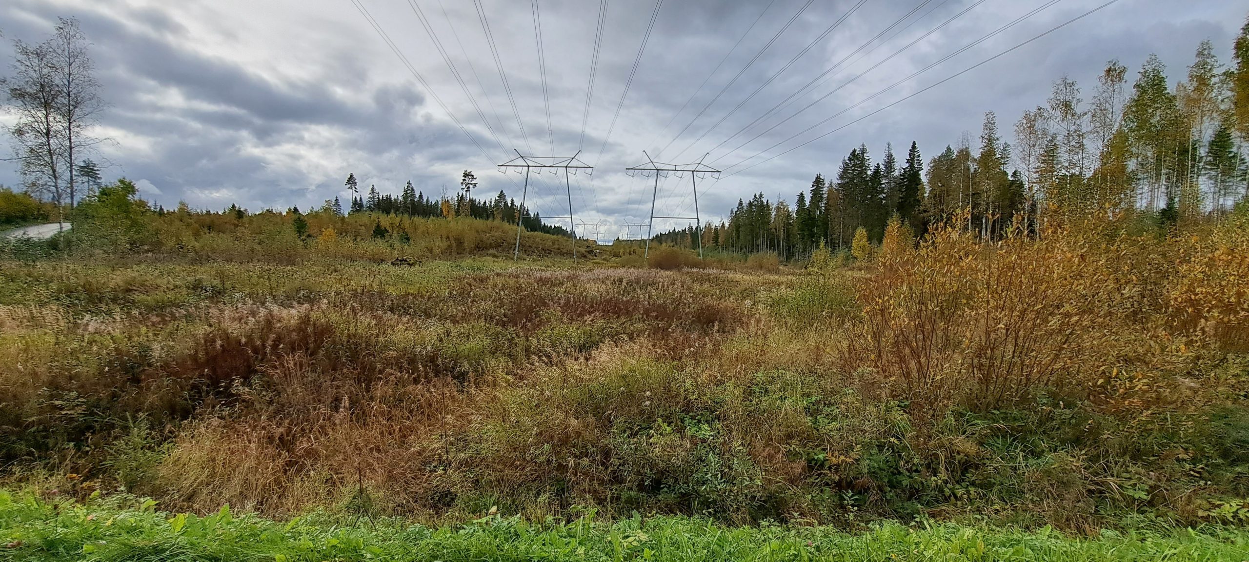 Voimalinjat ja aukea alue.