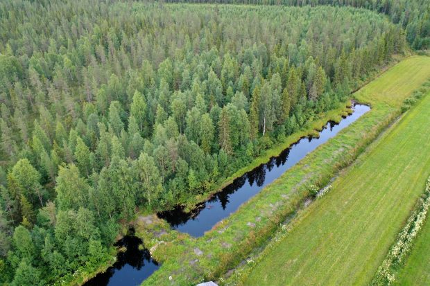 Ilmakuva kosteikosta. 