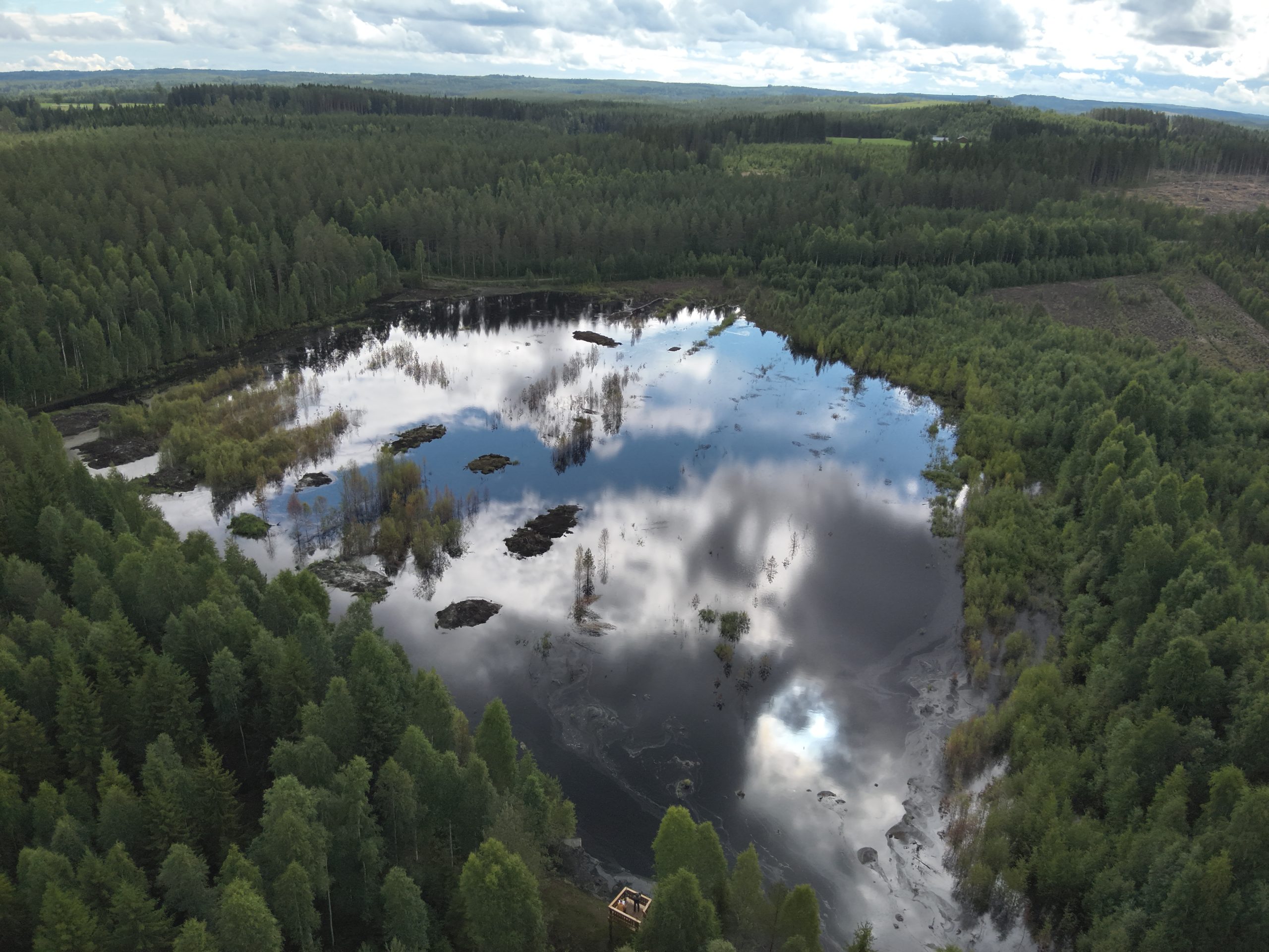 Ilmakuva kosteikosta.