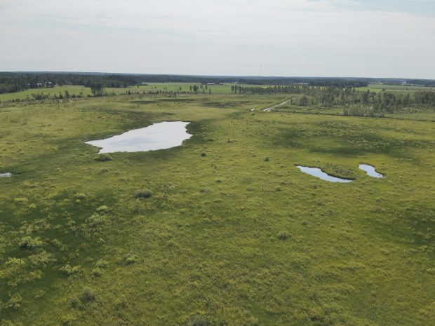 Ilmakuva kosteikosta.