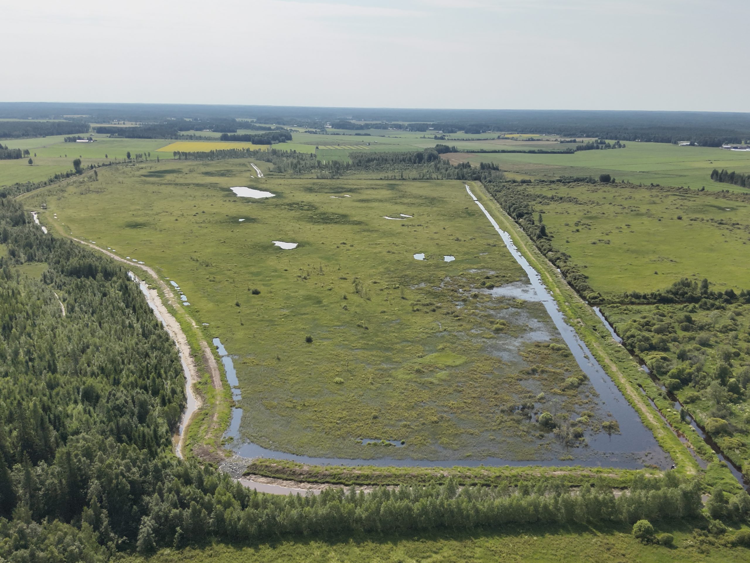 Ilmakuva kosteikosta.