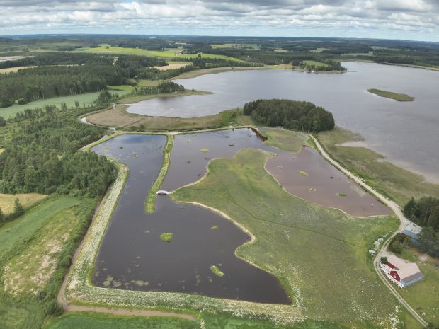 Ilmakuva kosteikosta.