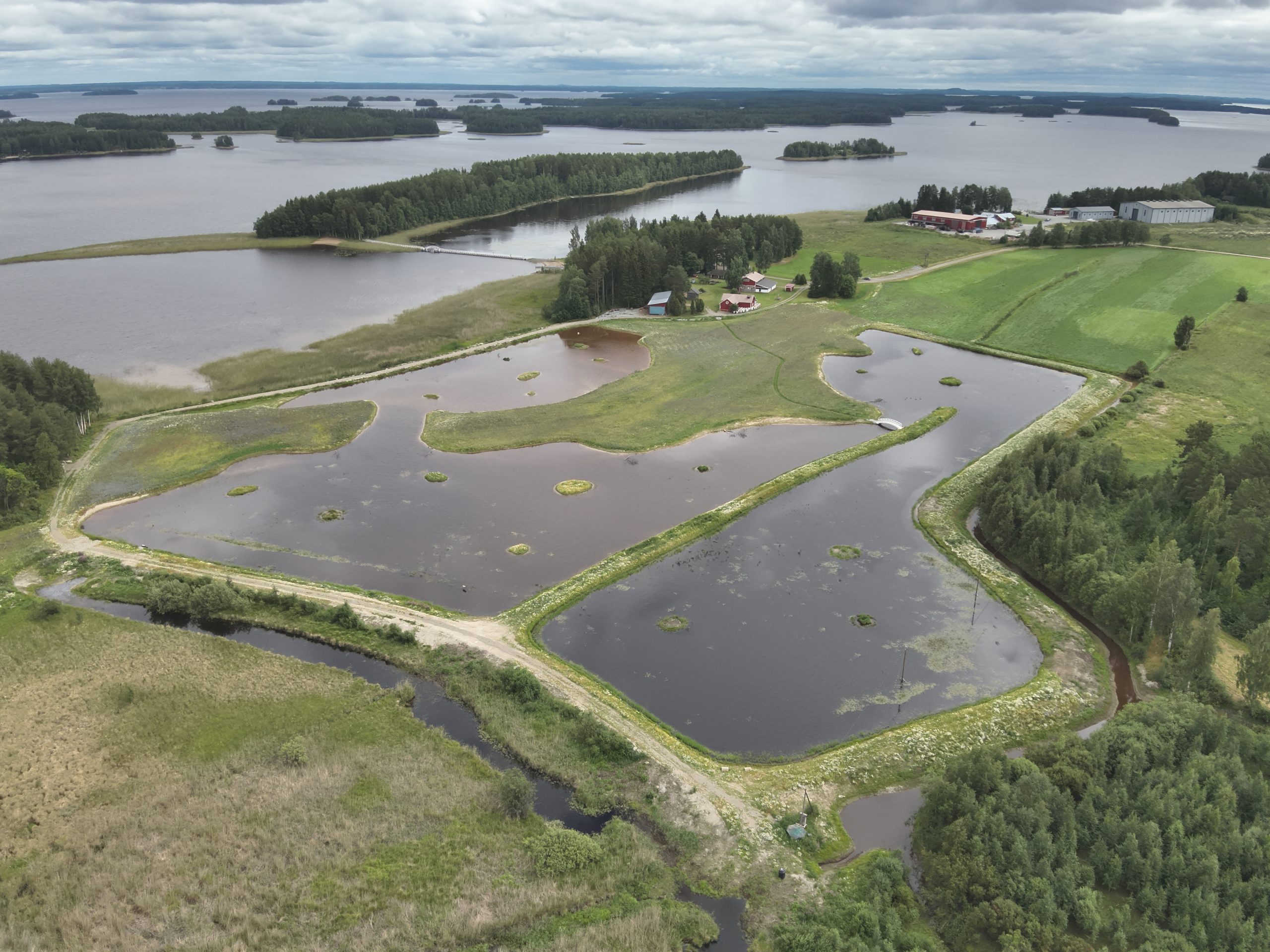 Ilmakuva kosteikosta. 