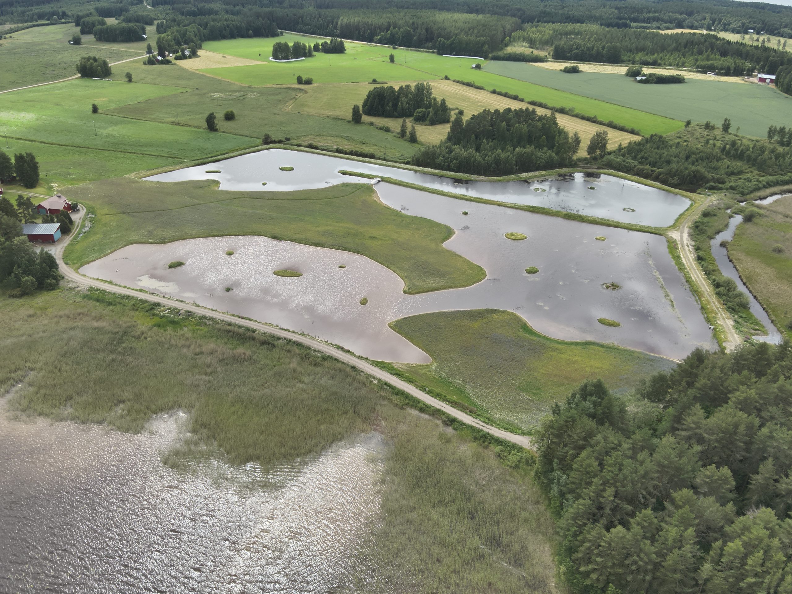 Ilmakuva kosteikosta.