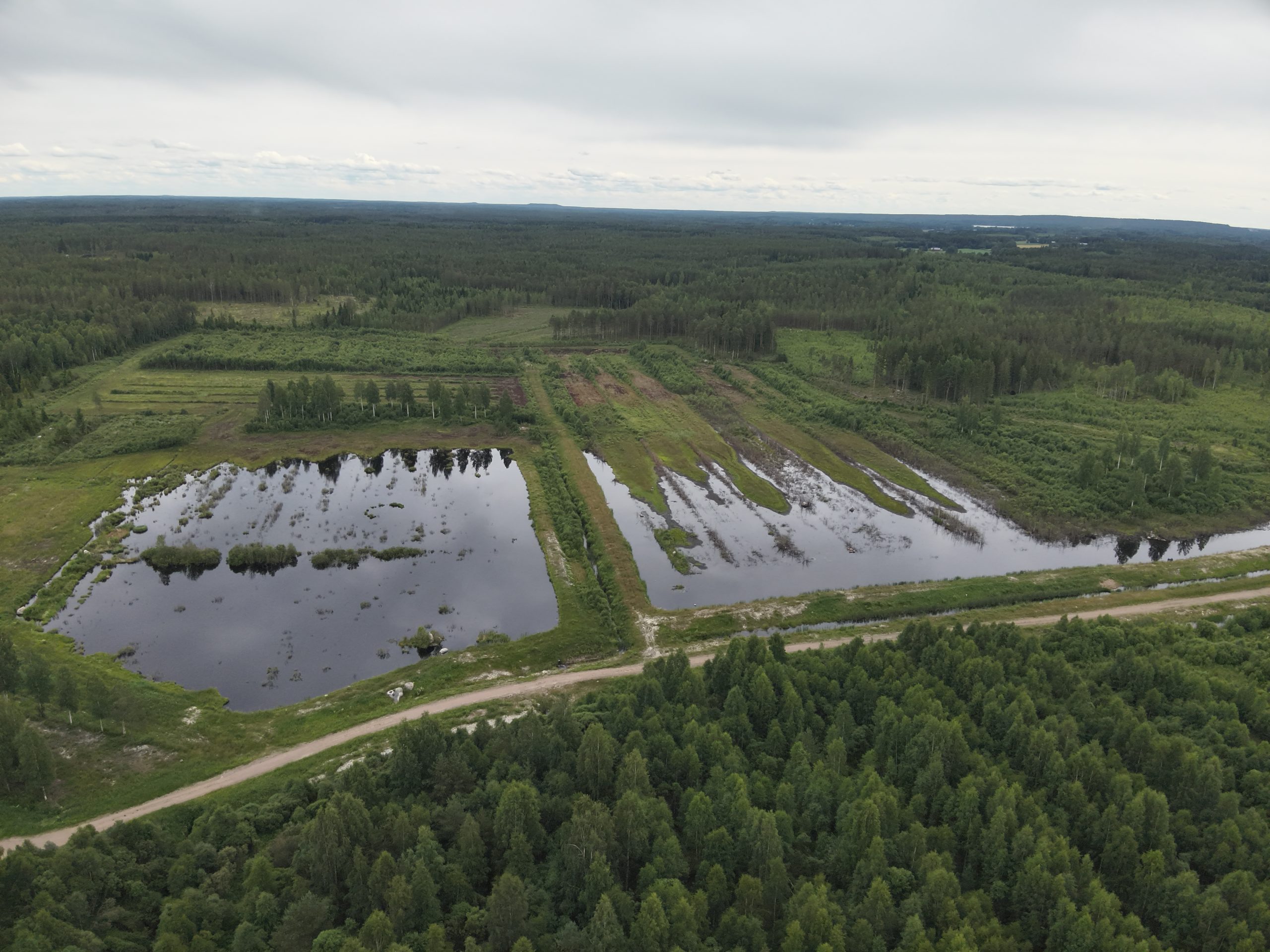Ilmakuva kosteikosta.