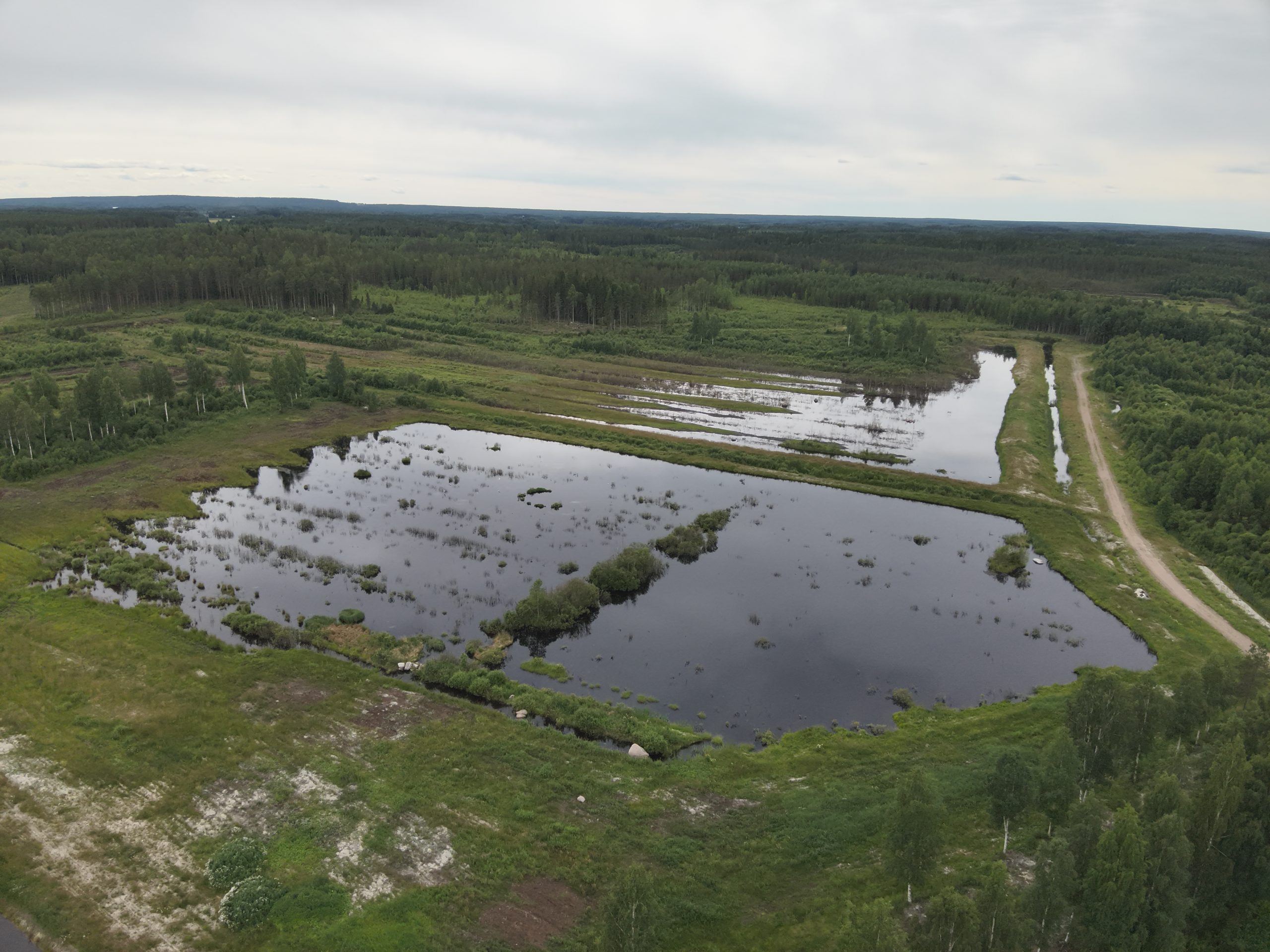 Ilmakuva kosteikosta.