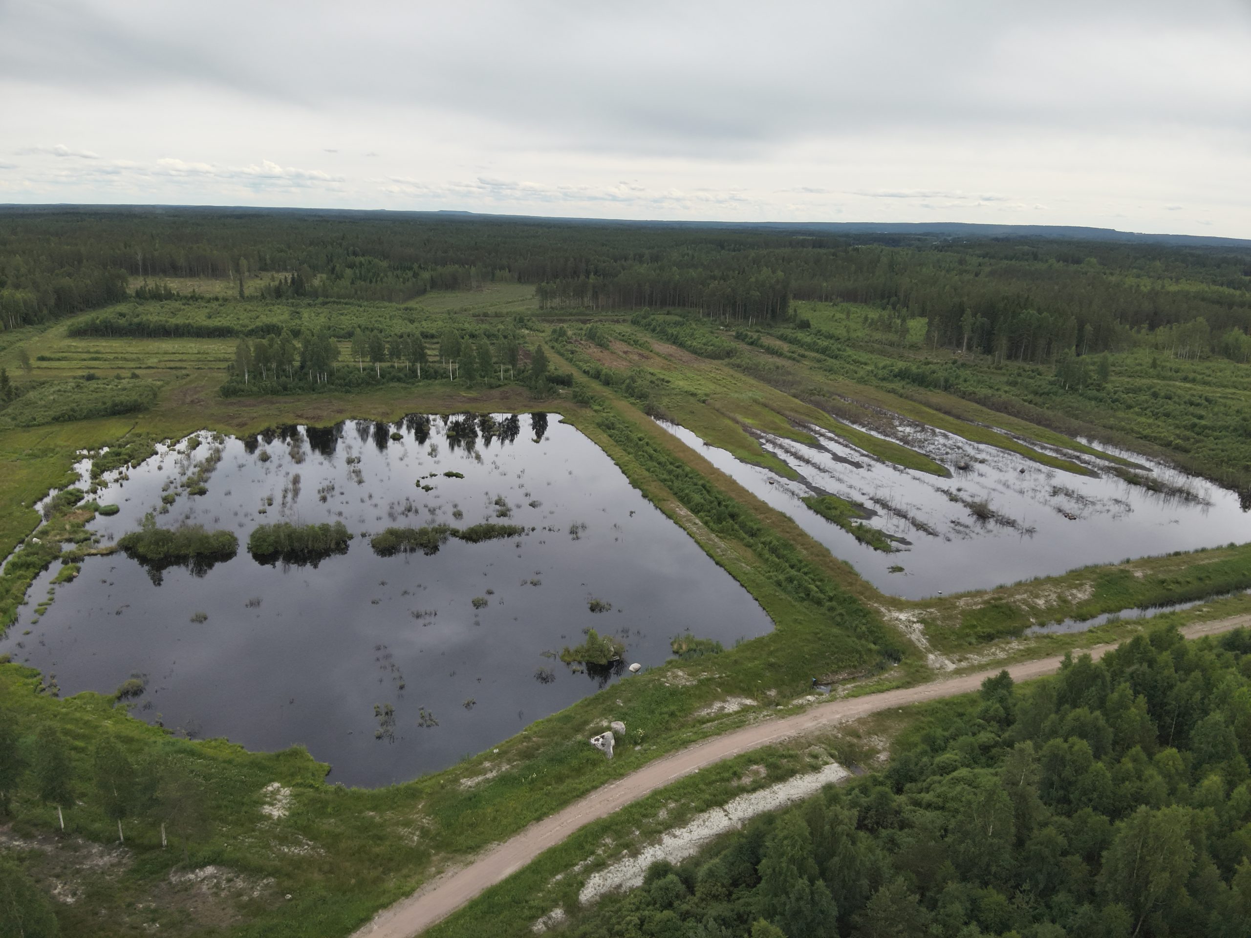 Ilmakuva kosteikosta.