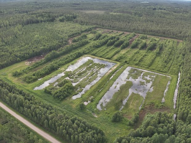 Ilmakuva kosteikosta.